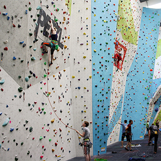1.5 Hour Intro to Climbing - Group image
